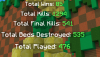 SalwyrrLauncher 16-09-2020 17.54.59.png