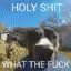 allah.gif