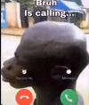 1611272939738.png