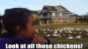 1611373955452.png