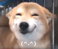 ^_^.png