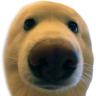 boop.png