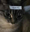 unknown-7.png