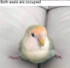 unknown-3.png
