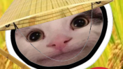 caet.PNG
