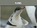 5nyokw.jpg 5nyokw.jpg