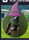 Screenshot 2021-10-06 172139.png