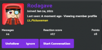 1633599502071.png