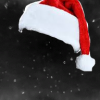 117126.webp.png