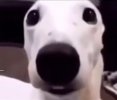 Screenshot_20211019-235024_Discord.jpg