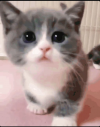1635775195262.png