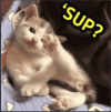 1639137572464.png