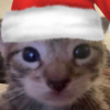 e67ec576d76559e0e248974fbb0186f5.png