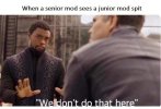 dc4.jpg