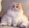1643033957463.png