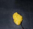 IMG-20220421-WA0001.jpg