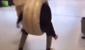 1652548964001.png