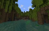 Mangrove.jpg
