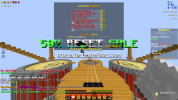 SalwyrrLauncher 31-05-2022 17.49.06.png