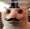 1665154888065.png