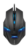 Raptor.png