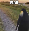 1679862750719.png