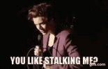 harry-styles-stalker.gif