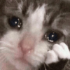 6fac0144-9bd1-40f5-b968-885621484b39-1.png
