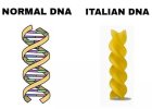 24627189-buzzfeed-de-O1BG.jpg