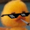 duck cigar.jpg