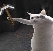 jartex prison cat.jpg