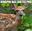 1707251214886.png