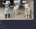1708089212459.png