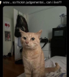 1710189835509.png