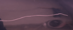 Screenshot 2024-03-19 at 19.40.49.png Screenshot 2024-03-19 at 19.40.49.png
