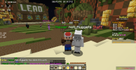 nuggets.png