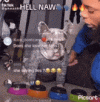 dog-hell-nah.gif