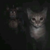 1716277987942.png 1716277987942.png