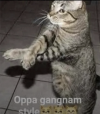 Screenshot_20240515-005810.png