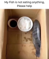 1717024907692.png