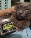 GLpXhxSaIAAipwg.png