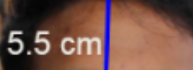1719577755183.png