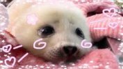 IMG_2054.jpeg