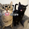 1741986015664.png