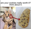 1743534887377.png
