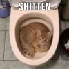 1746517869813.png