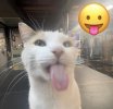 IMG_8432.jpeg