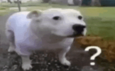 1757846812051.png