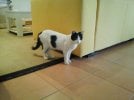 20170223_172319.jpg