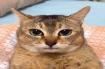 1767645280341.png